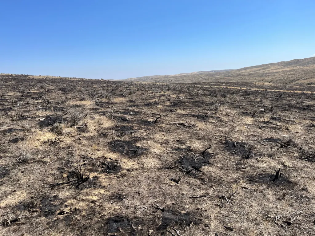 Wyoming Lawmakers Reduce Fire Recovery Funding Amid Historic Wildfire Season