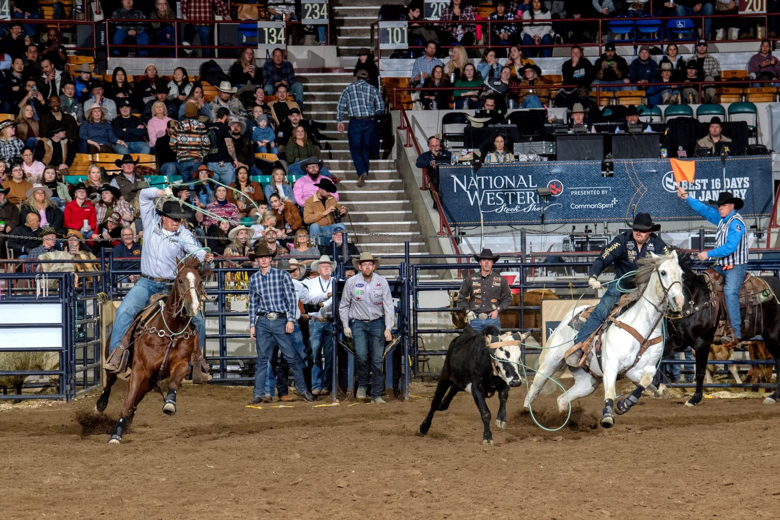 Wyoming Brothers Shine at National Western Stock Show Rodeo