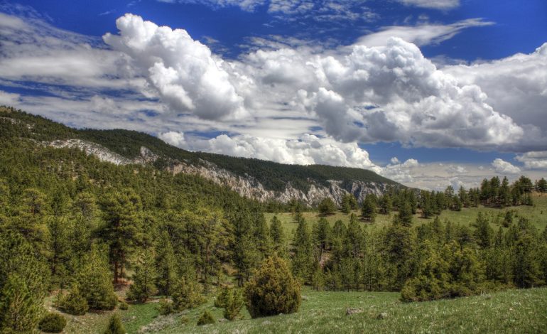 Wyoming Receives Funding for Ecosystem Restoration Through Bipartisan Infrastructure Law