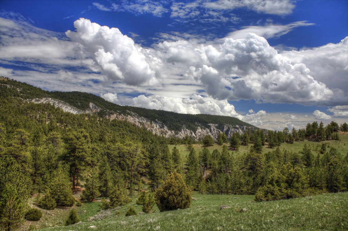 Wyoming Receives Funding for Ecosystem Restoration Through Bipartisan Infrastructure Law