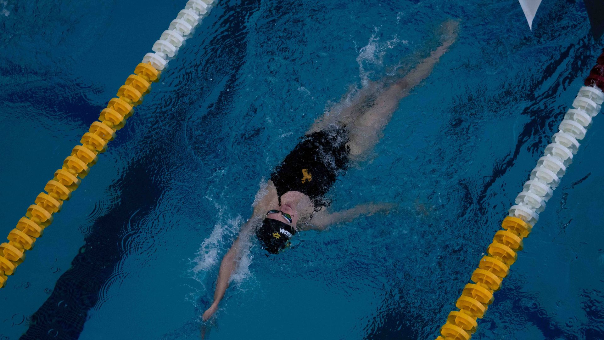 Wyoming Swim & Dive Teams Prepare for Upcoming Meet Against UNLV